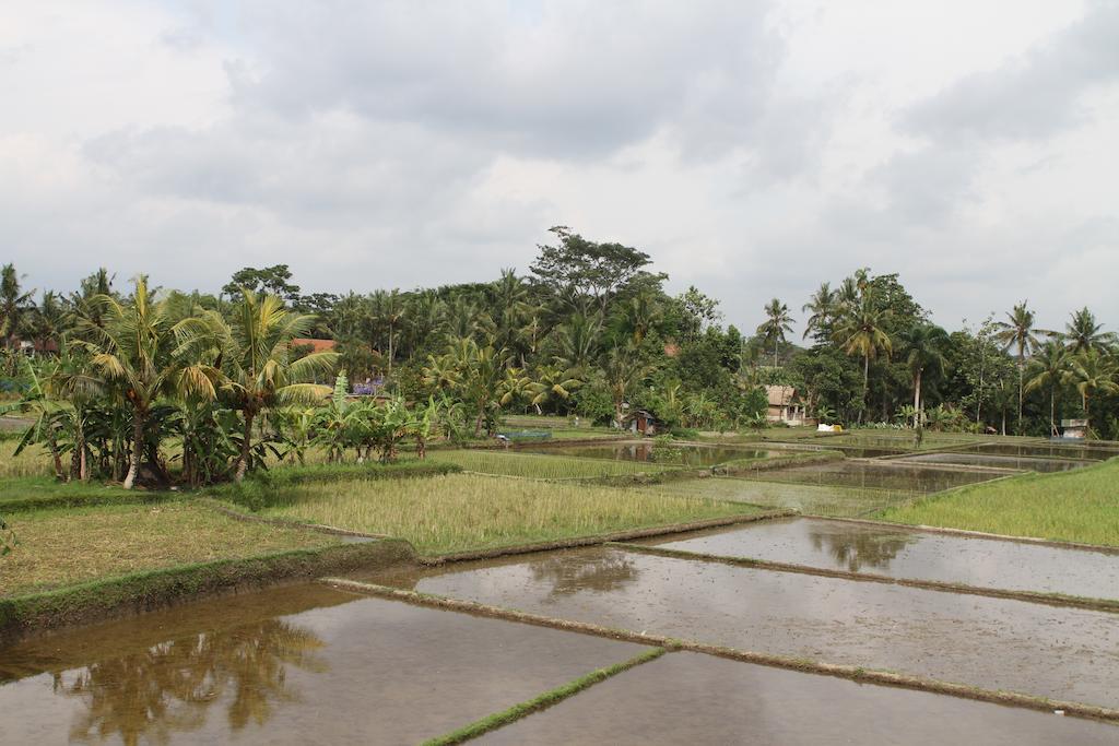 Villa Kami Ubud Eksteriør bilde